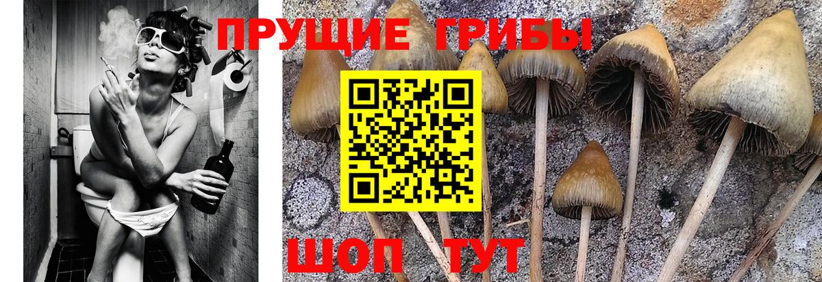 магазин продажи   Псилоцибиновые грибы Psilocybine cubensis  Иркутск  Вход с VPN  Галлюциногенные грибы ЛСД 