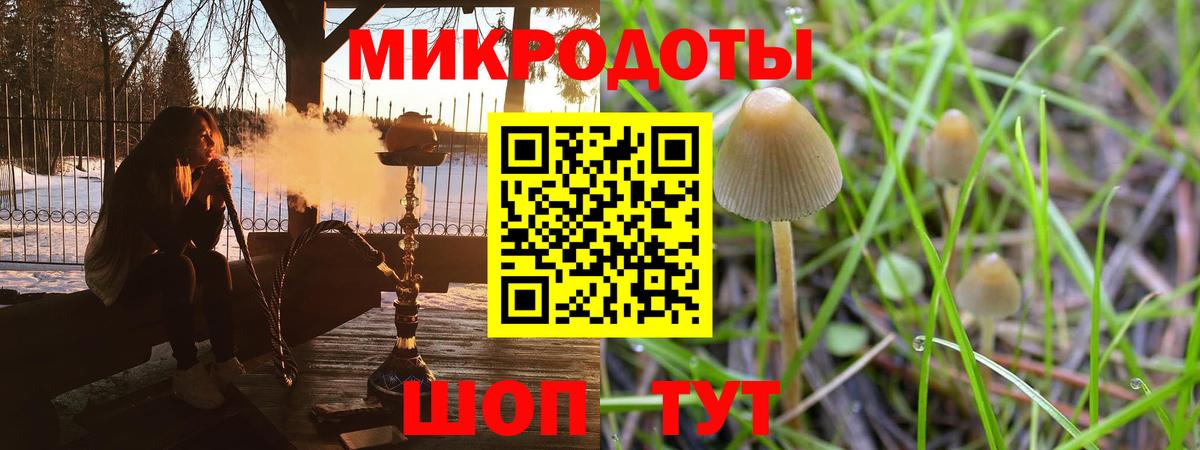 Псилоцибиновые грибы Psilocybine cubensis Иркутск